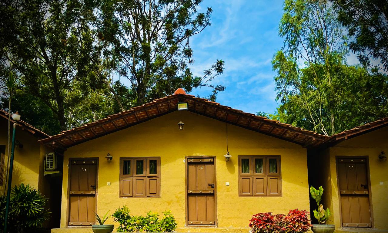 HLC Ayurveda & Nature Cure Hospital-Image7