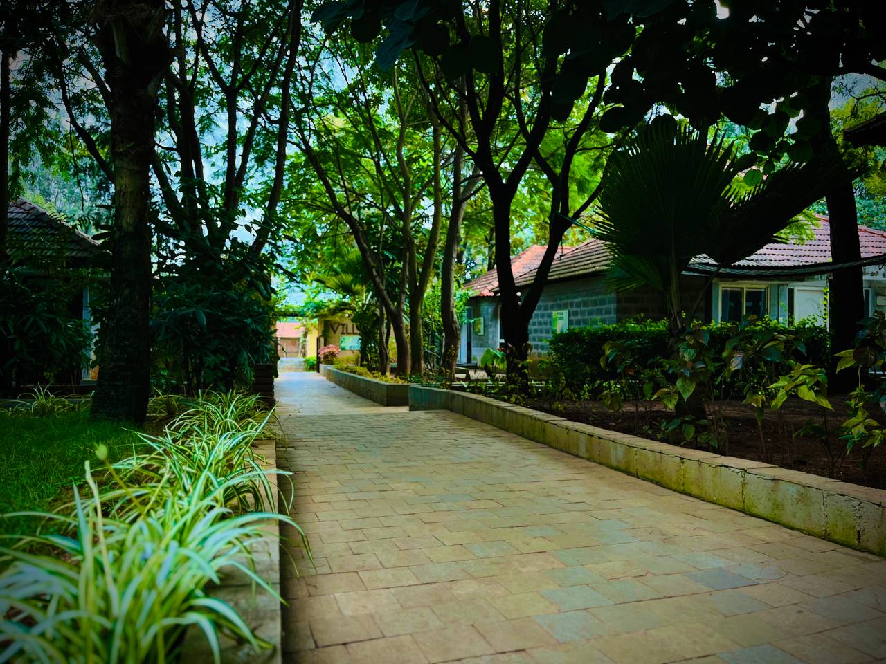HLC Ayurveda & Nature Cure Hospital-Image10