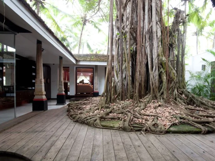 Niraamaya Retreats Surya Samudra-MainView