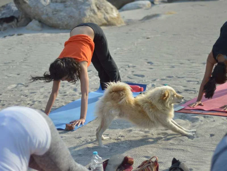 RISHIKESH YOGPEETH-Image10