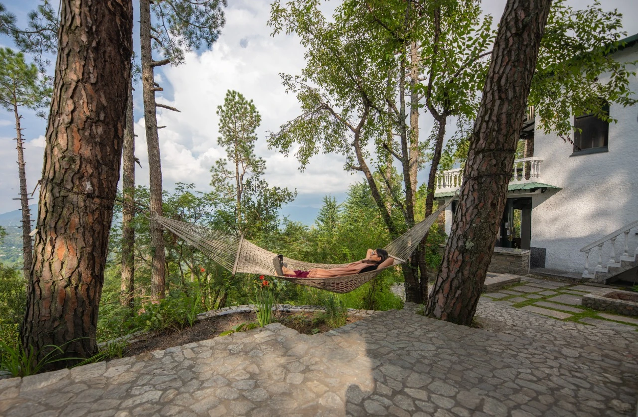 AyurVAID: Kalmatia-Image6