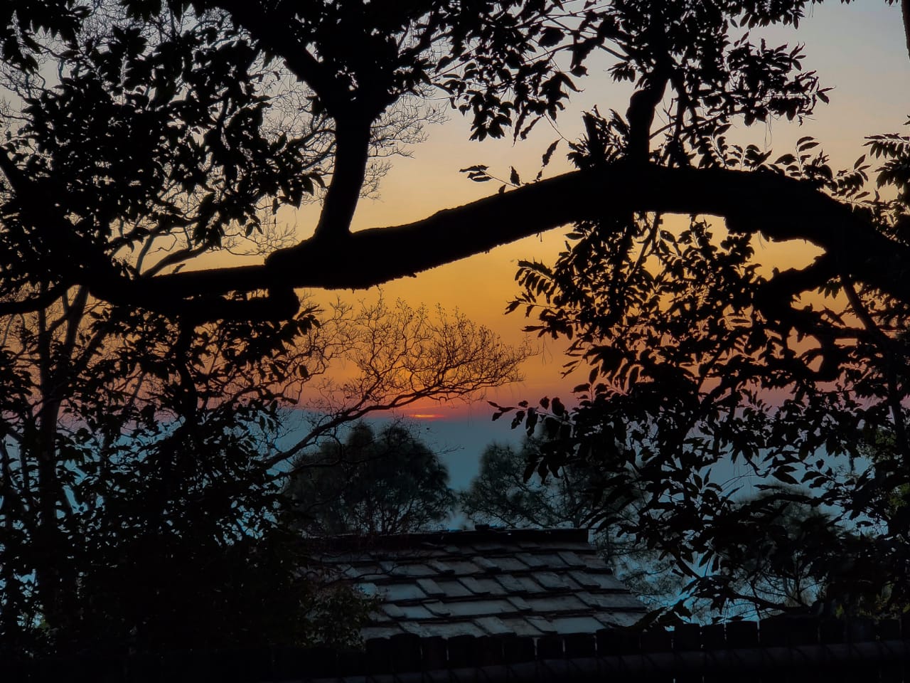 -View-5