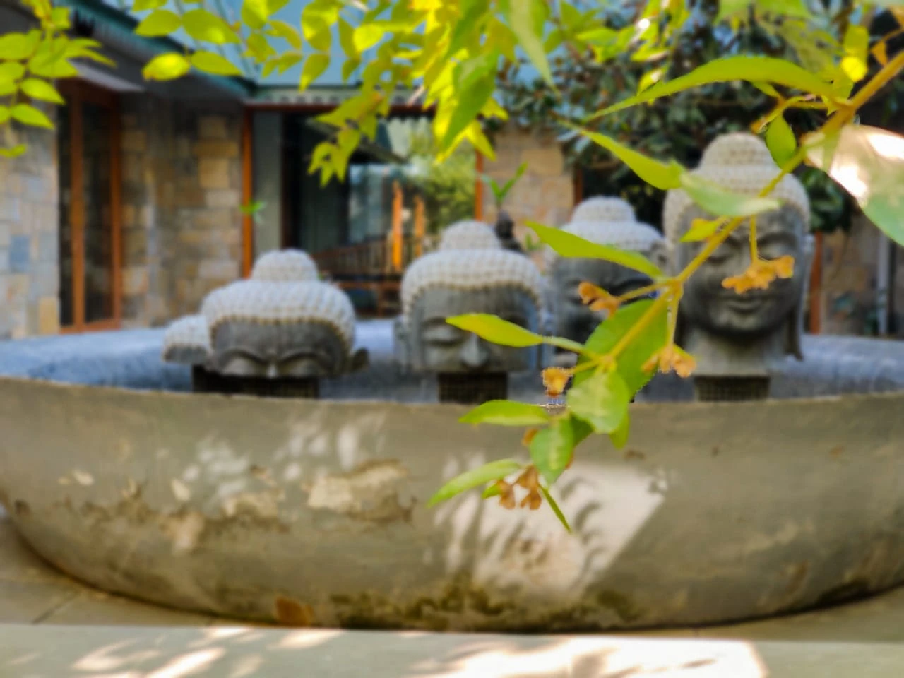 AyurVAID: Kalmatia-Image9