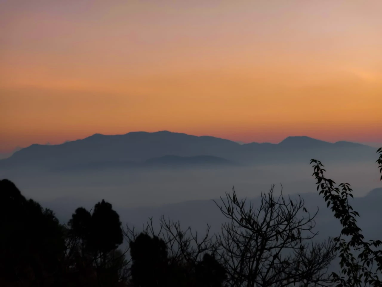 AyurVAID: Kalmatia-Image10