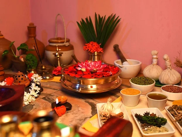 Ideal Ayurvedic Resort-Image11