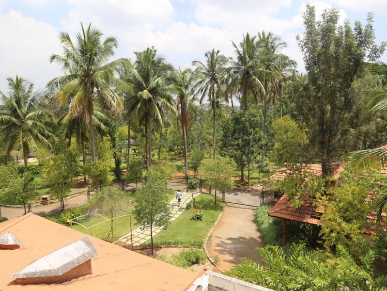 Panchakarma-Image6