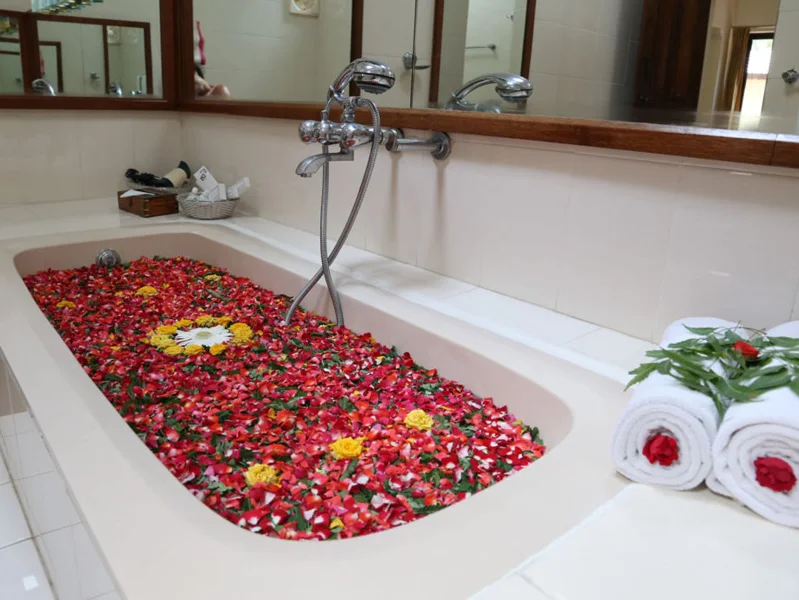 Indus Valley Ayurvedic Centre-MainView