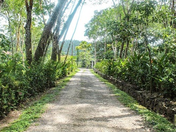 Plantation Villa-Image11