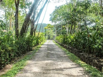 Plantation Villa-Image11