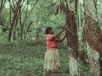 Plantation Villa-Image18