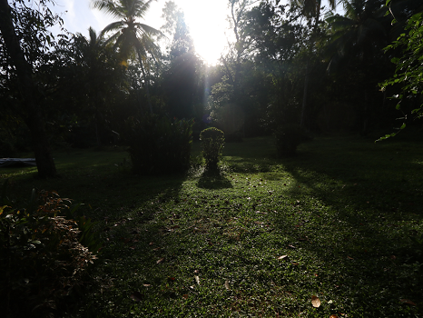Plantation Villa-Image14