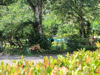 Plantation Villa-Image35