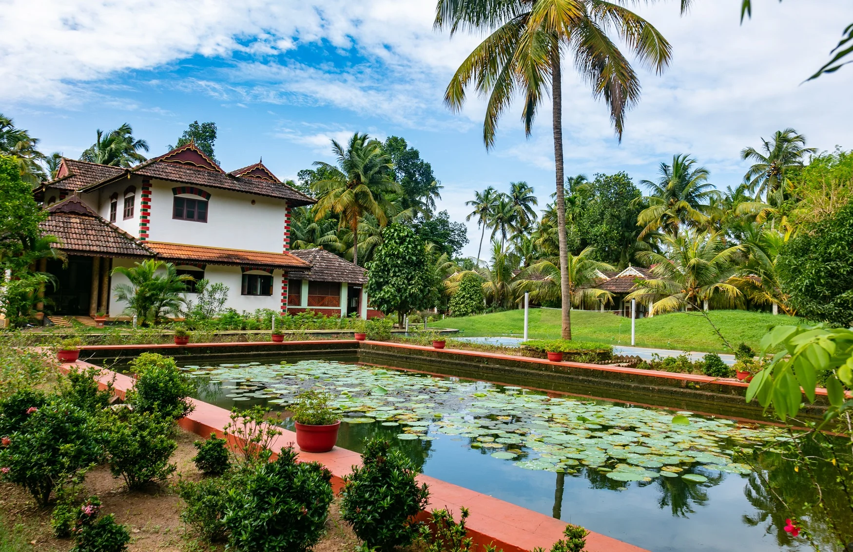 Deepanjali Wellness & Retreat-View-5