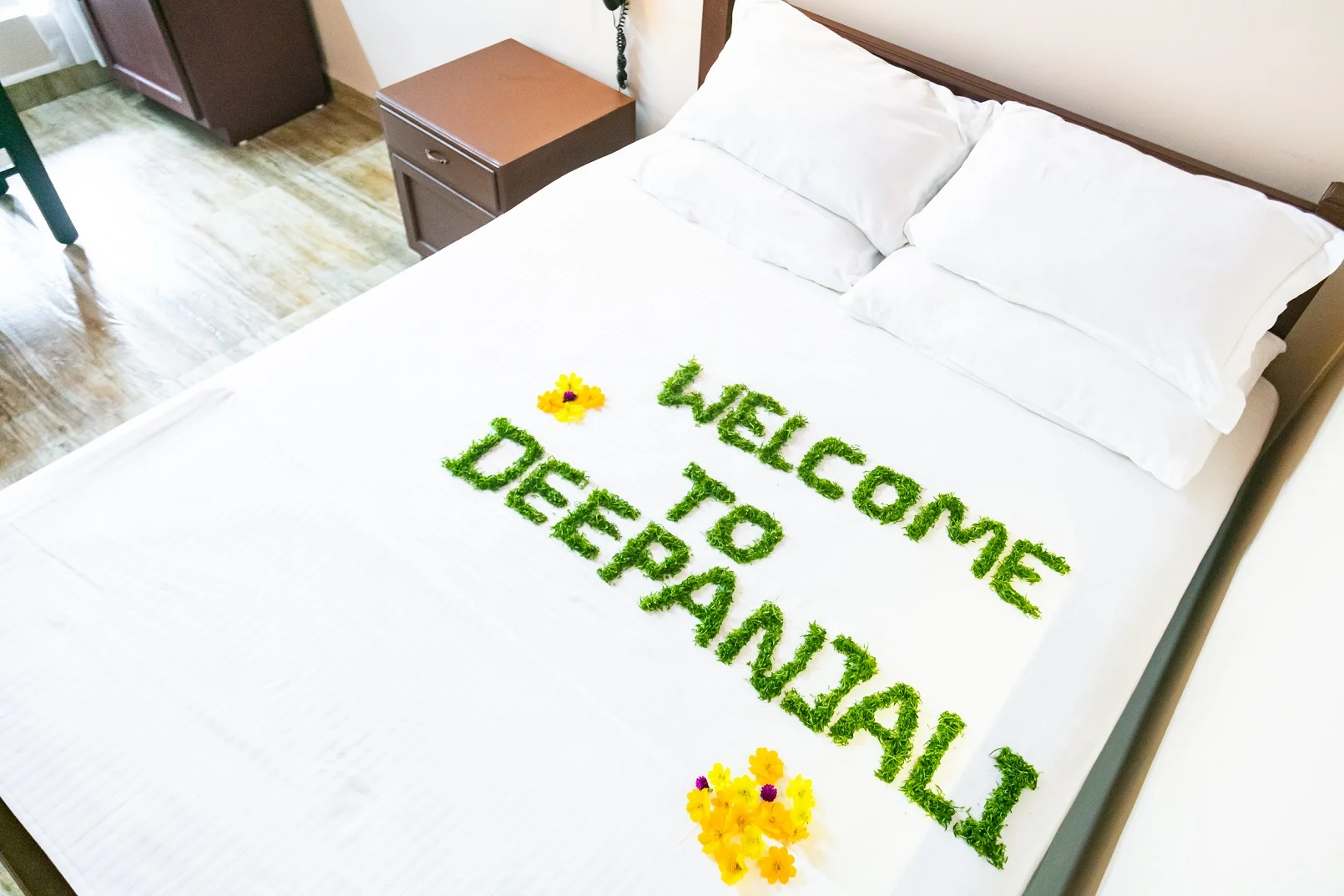 Deepanjali Wellness & Retreat-View-4