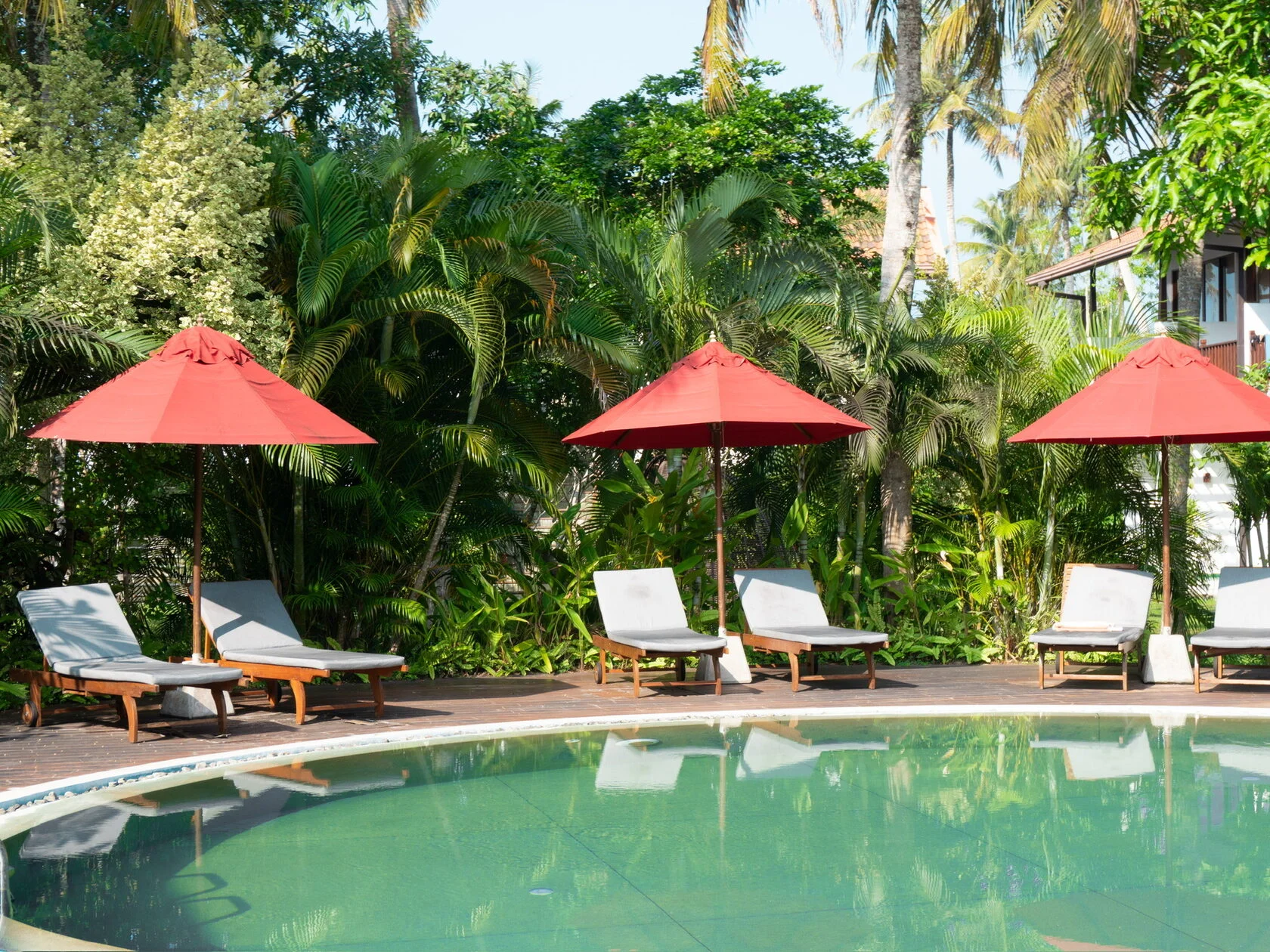 Palm Garden Ayurveda Resort-View-3