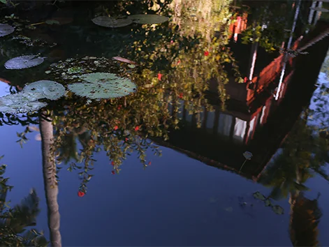 Coconut Lagoon-Image19