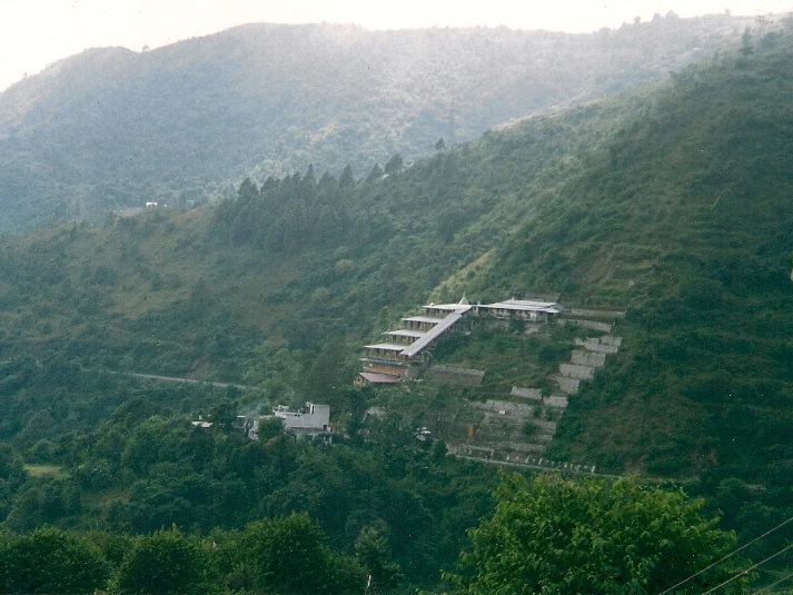 -View-4