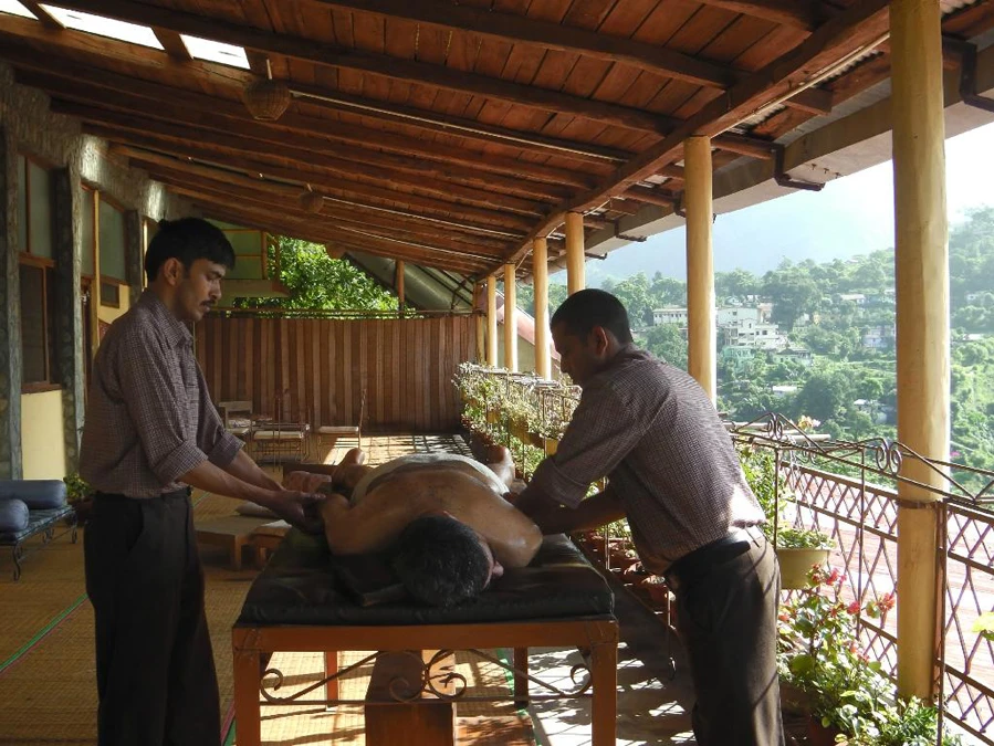 Vedic Wellness-Image6