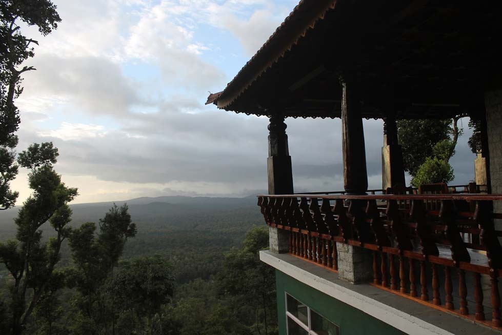 -View-5