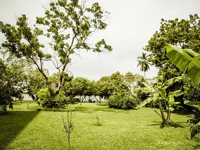 Thaulle Resort-Image7