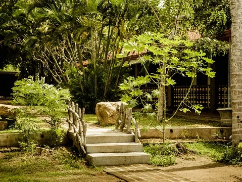 Thaulle Resort-Image30