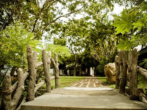 Thaulle Resort-Image32