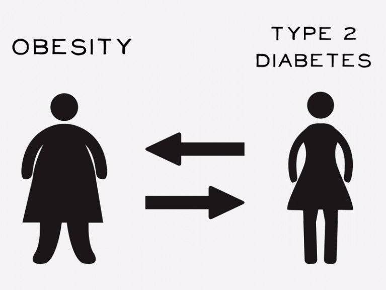 Can Obesity and Stress lead to Diabetes? 