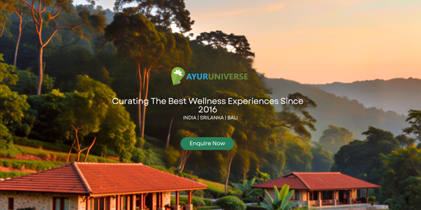 8 Top Reasons To Choose AyurUniverse for Wellness