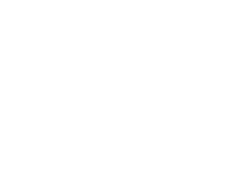 Kidney-Icon