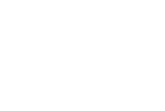 Liver-Icon