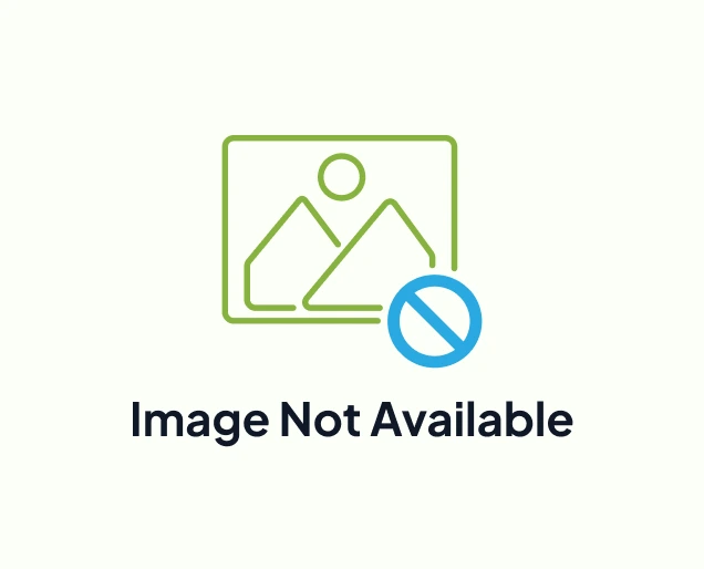 no-image